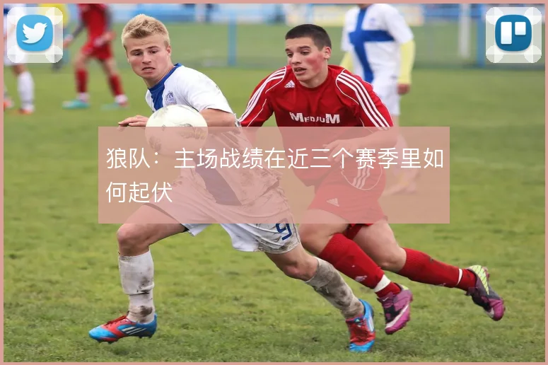 狼队:主场战绩在近三个赛季里如何起伏
