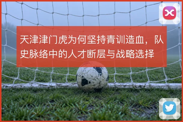 天津津门虎为何坚持青训造血,队史脉络中的人才断层与战略选择