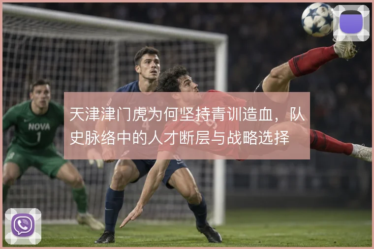 天津津门虎为何坚持青训造血,队史脉络中的人才断层与战略选择