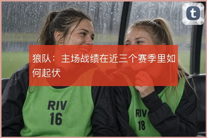 狼队:主场战绩在近三个赛季里如何起伏